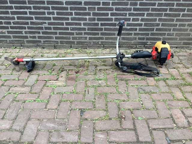 Robin nb411 bosmaaier - afbeelding 2 van  5