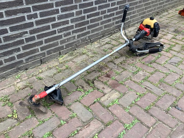 Robin nb411 bosmaaier - afbeelding 3 van  5