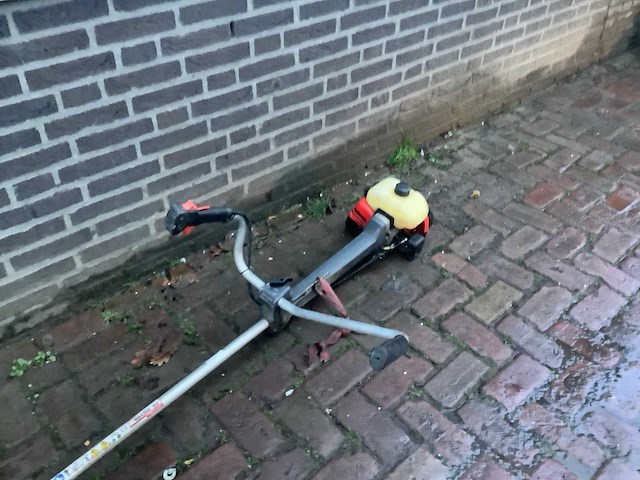 Robin nb4300 bosmaaier - afbeelding 4 van  4