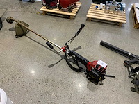 Robin nbt415 bosmaaier - afbeelding 1 van  3