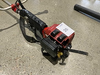 Robin nbt415 bosmaaier - afbeelding 2 van  3