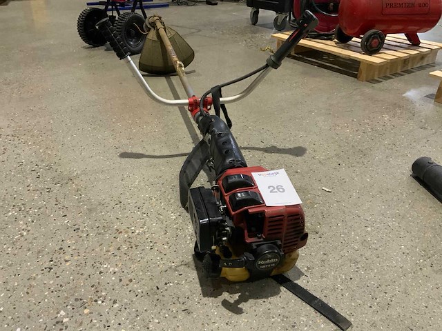 Robin nbt415 bosmaaier - afbeelding 3 van  3