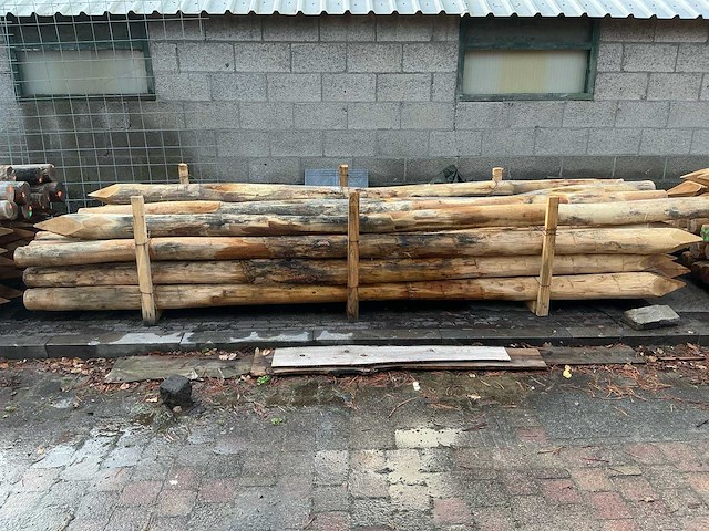 Robinia - hardwood (22x) - afbeelding 1 van  5