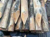 Robinia - hardwood (22x) - afbeelding 2 van  5