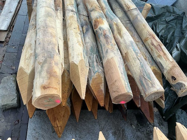 Robinia - hardwood (22x) - afbeelding 3 van  5