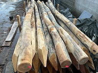 Robinia - hardwood (22x) - afbeelding 4 van  5