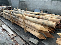 Robinia - hardwood (22x) - afbeelding 5 van  5