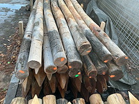 Robinia palen ø 120-140mm geschild en gepunt - 3500mm. - afbeelding 2 van  6