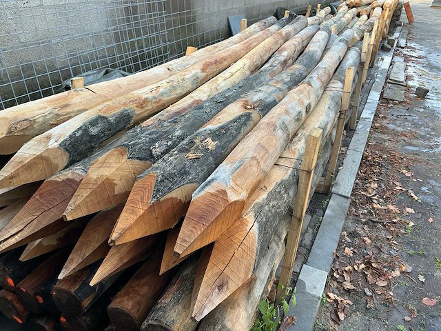 Robinia palen ø 120-140mm geschild en gepunt - 3500mm. - afbeelding 4 van  6