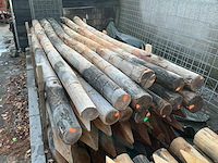 Robinia palen ø 120-140mm geschild en gepunt - 3500mm. - afbeelding 5 van  6