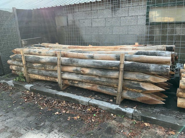 Robinia palen ø 120-140mm geschild en gepunt - 3500mm. - afbeelding 6 van  6