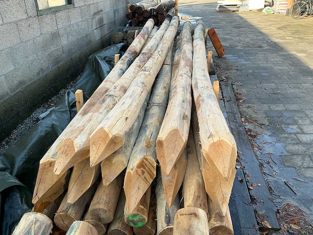 Robinia palen ø 140-160mm geschild en gepunt - 4500mm. - afbeelding 2 van  5