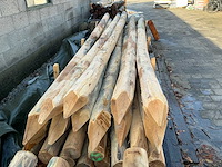 Robinia palen ø 140-160mm geschild en gepunt - 4500mm. - afbeelding 2 van  5