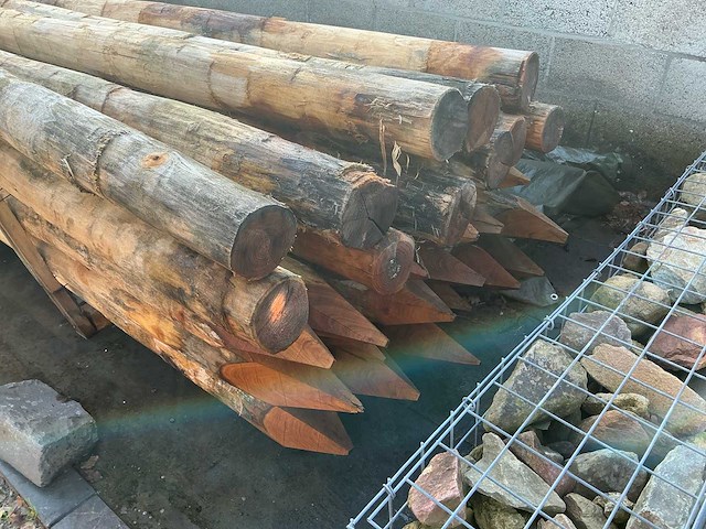 Robinia palen ø 140-160mm geschild en gepunt - 4500mm. - afbeelding 3 van  5