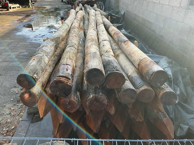 Robinia palen ø 140-160mm geschild en gepunt - 4500mm. - afbeelding 4 van  5