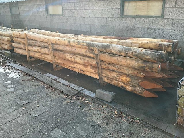 Robinia palen ø 140-160mm geschild en gepunt - 4500mm. - afbeelding 5 van  5