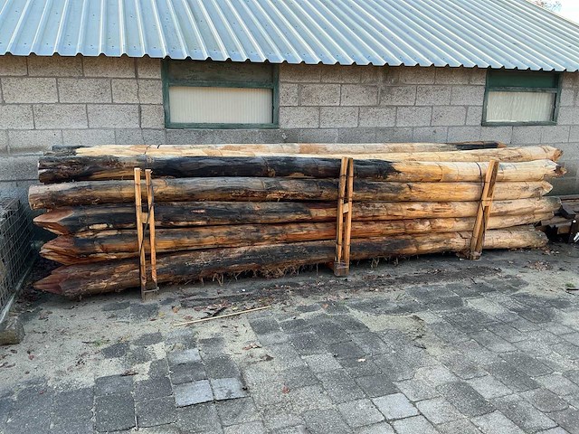 Robinia palen ø 160-180mm geschild en gepunt - 5000mm. - afbeelding 1 van  6