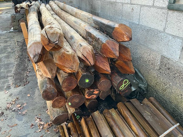 Robinia palen ø 160-180mm geschild en gepunt - 5000mm. - afbeelding 2 van  6