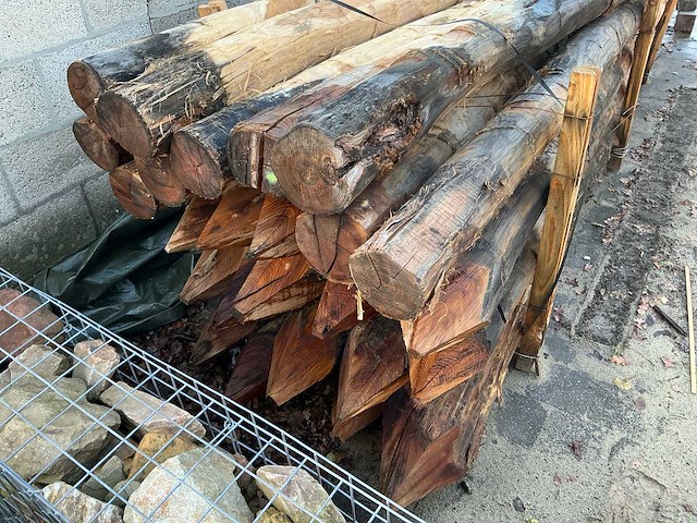 Robinia palen ø 160-180mm geschild en gepunt - 5000mm. - afbeelding 3 van  6