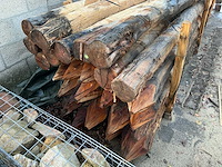 Robinia palen ø 160-180mm geschild en gepunt - 5000mm. - afbeelding 3 van  6