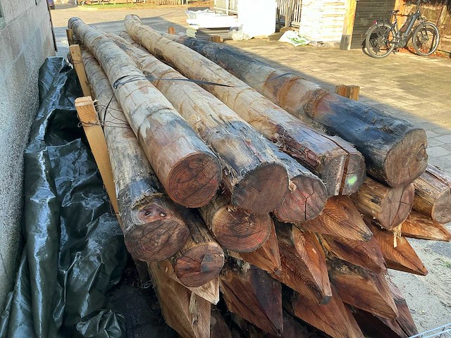 Robinia palen ø 160-180mm geschild en gepunt - 5000mm. - afbeelding 4 van  6