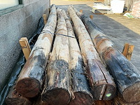 Robinia palen ø 160-180mm geschild en gepunt - 5000mm. - afbeelding 5 van  6