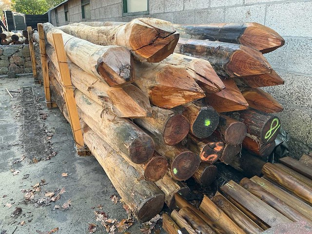 Robinia palen ø 160-180mm geschild en gepunt - 5000mm. - afbeelding 6 van  6