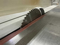 Robland z320 paneelcirkelzaagmachine - afbeelding 8 van  10