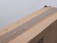 Robotstofzuiger, ecovacs, deebot ozmo 900 - afbeelding 4 van  4