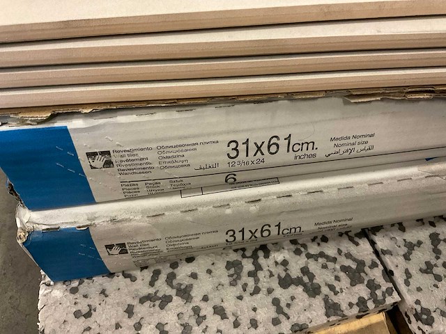 Roca wandtegel 31x61 cm ca. 5,65 m² - afbeelding 3 van  3