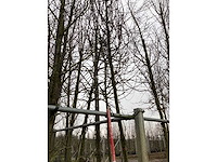 Rode sierappel - vormboom - afbeelding 3 van  4