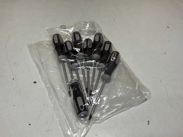 Roebuck schroevendraaier torx t30 (8x) - afbeelding 2 van  5
