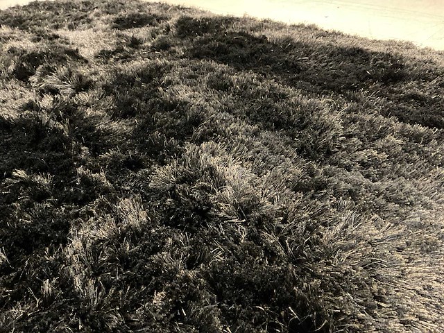 Roelof vloerkleed - afbeelding 7 van  7