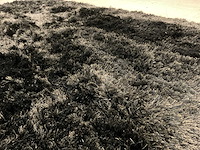 Roelof vloerkleed - afbeelding 7 van  7