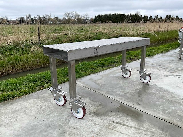 Roestvrijstalen rollertafel - afbeelding 1 van  5