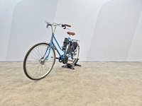 Roetz e-bike - road limited edition - n3 305wh - elektrische fiets - afbeelding 5 van  11