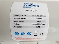 Rogi - 2023 - wg250p - polijstmachine - afbeelding 3 van  7