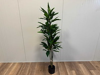 Rohdea kunstplant (145mm hoog) - afbeelding 1 van  15