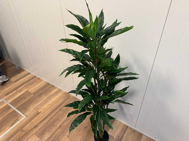 Rohdea kunstplant (145mm hoog) - afbeelding 12 van  15