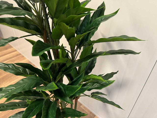 Rohdea kunstplant (145mm hoog) - afbeelding 15 van  15