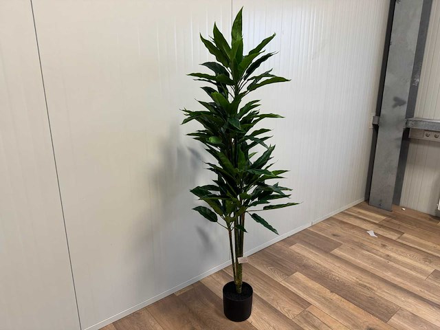 Rohdea kunstplant (145mm hoog) - afbeelding 10 van  15