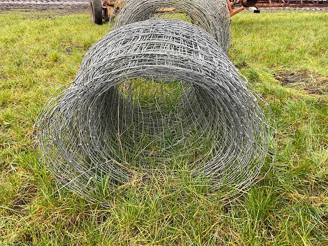 Rol schapengaas (2x) - afbeelding 6 van  6