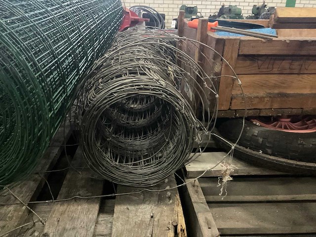 Rol schapengaas - afbeelding 2 van  4