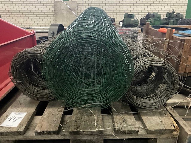 Rol schapengaas - afbeelding 3 van  4