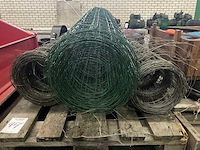 Rol schapengaas - afbeelding 3 van  4