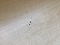 Roldeurkast 120 cm , zwart / beuken - afbeelding 4 van  5