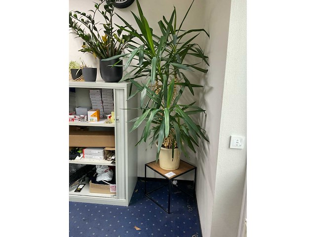 Roldeurkast met inhoud (3x) - afbeelding 3 van  16