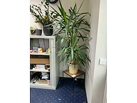 Roldeurkast met inhoud (3x) - afbeelding 3 van  16