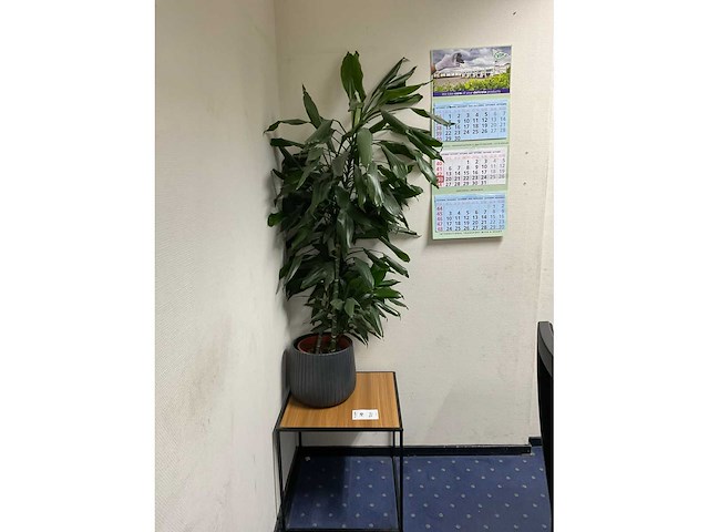 Roldeurkast met inhoud (3x) - afbeelding 4 van  16