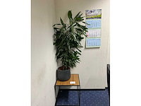 Roldeurkast met inhoud (3x) - afbeelding 4 van  16